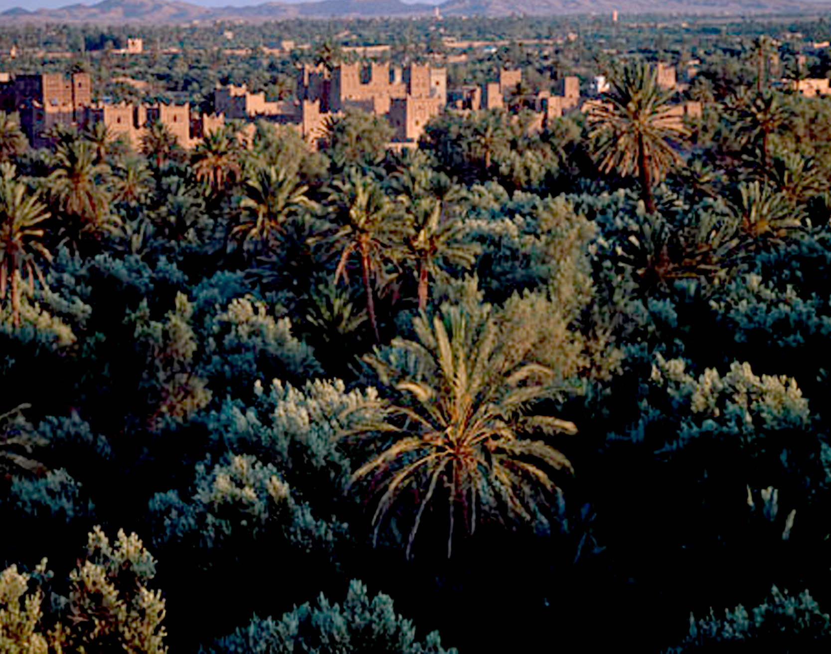 Ouarzazate, oasis de Skoura et Gorges du Dadès