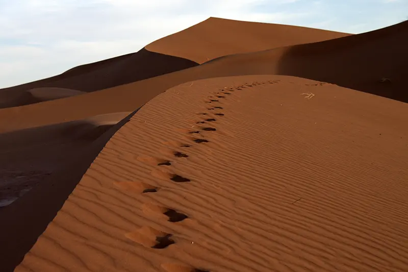 OASI DI MONTAGNA E DESERTO minitour di 4 giorni